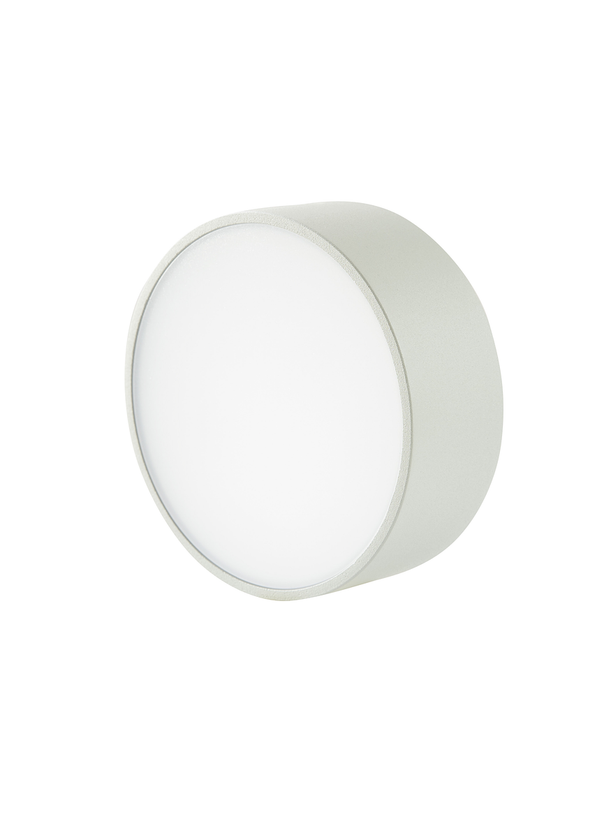 Plafón LED Exterior Redondo 6W Luz Cálida IP54 Plata 1