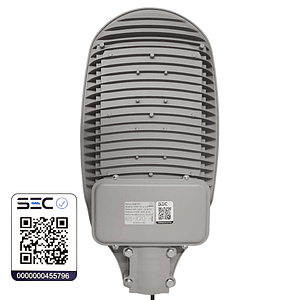 Luminaria Pública 100W IP65 Luz Cálida con Fotocelda  D.S.1