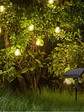 Guirnalda Solar Exterior 10 metros incluye 10 Ampolletas E27 LED  - Miniatura 4