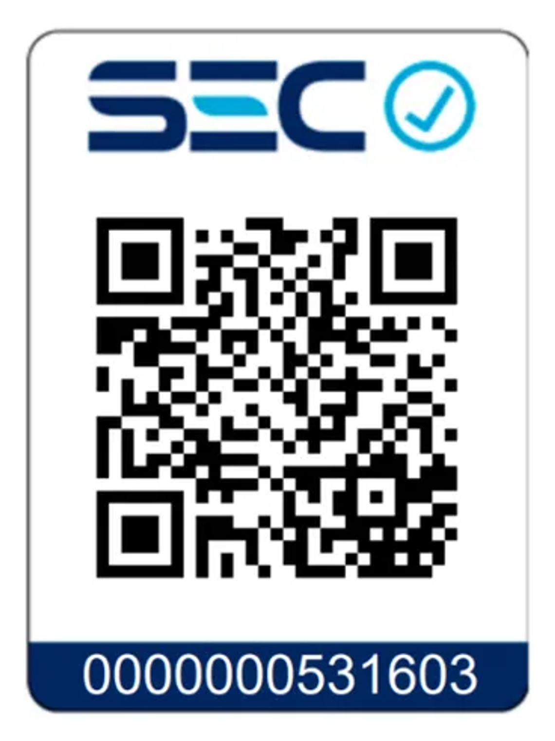 Proyector LED SOFTLIGHT 200W Luz Fría IP65 SEC 3