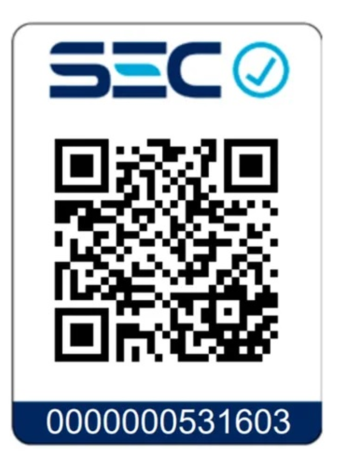 Proyector LED SOFTLIGHT 30W Luz Fría IP65 SEC 3