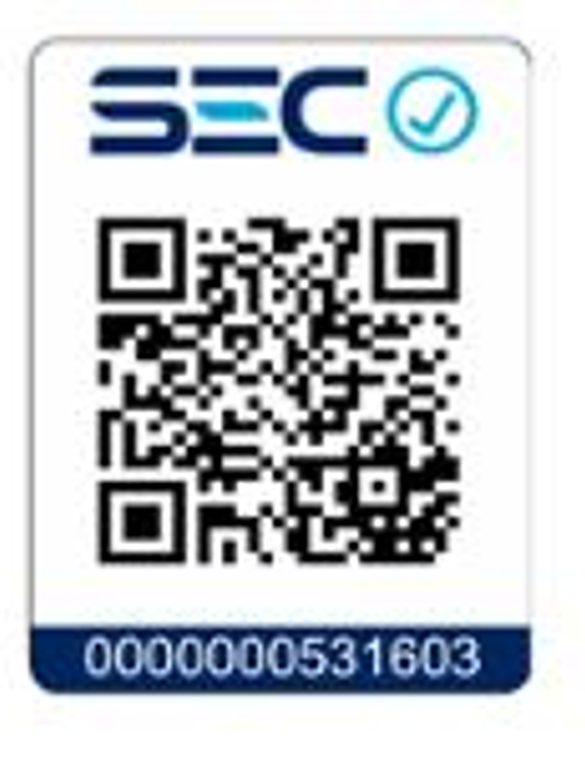 Proyector LED SOFTLIGHT 20W luz fría sensor PIR IP65 SEC 4