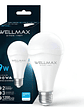 Ampolleta Emergencia LED 9W E27 Luz Fría 6500K - Miniatura 1
