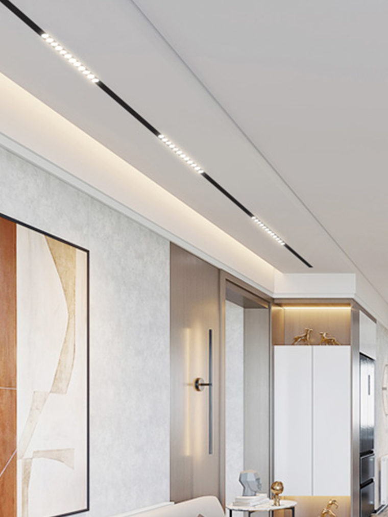 Riel Magnético Embutido 1 metro negro 48V  3