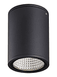 Aplique Techo LED Roblan 13W 3000K IP65 Exterior – Gris Oscuro - Miniatura 2