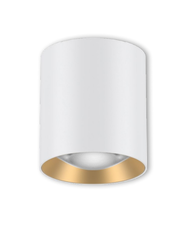 Luminaria Techo MUXIA Redonda 8W CCT IP20 Blanca Dimmable 1