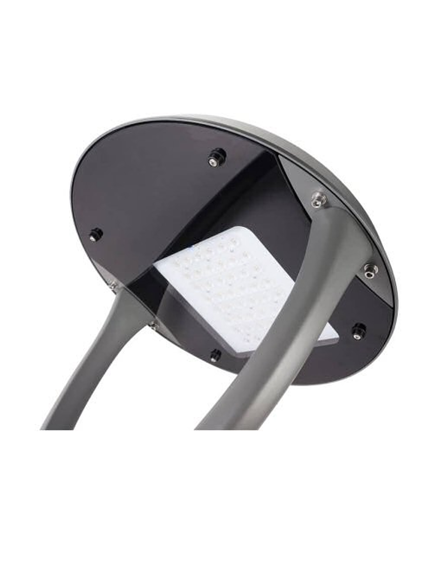 Farol Ornamental LED ROBLE 60W IP66 Protocolo Ds1 1