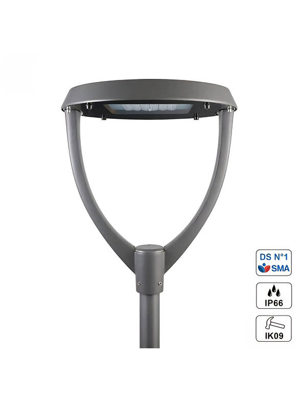 Farol Ornamental LED ROBLE 60W IP66 Protocolo Ds1 5