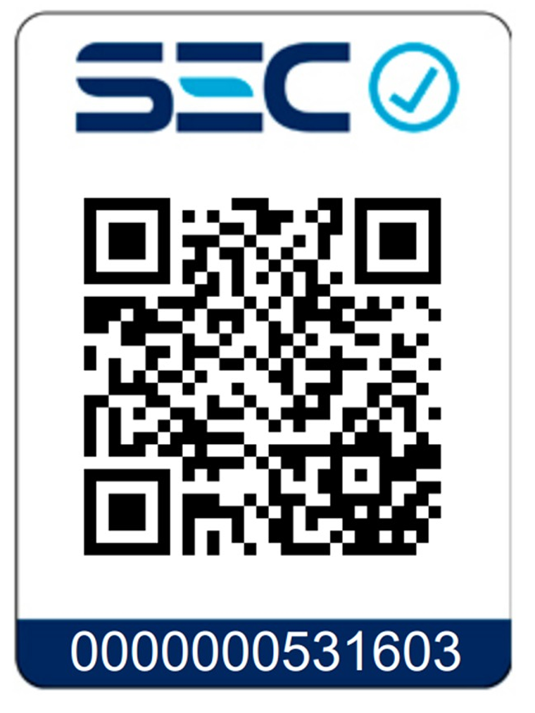 Proyector LED SOFTLIGHT 300W luz cálida 2000K IP65 DS1 5