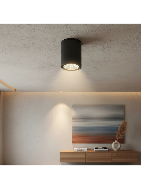 Aplique Techo LED Roblan 13W 3000K IP65 Exterior – Gris Oscuro 1