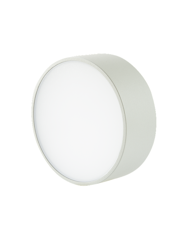 Plafón LED Exterior ROBLAN 6W Luz Cálida IP54  4
