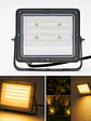 Proyector LED 30W Luz Cálida 2700K DS1 IP66 Gris Oscuro - Miniatura 1