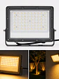 Proyector LED 50W Luz Cálida 2700K DS1 IP66 Gris Oscuro - Miniatura 1