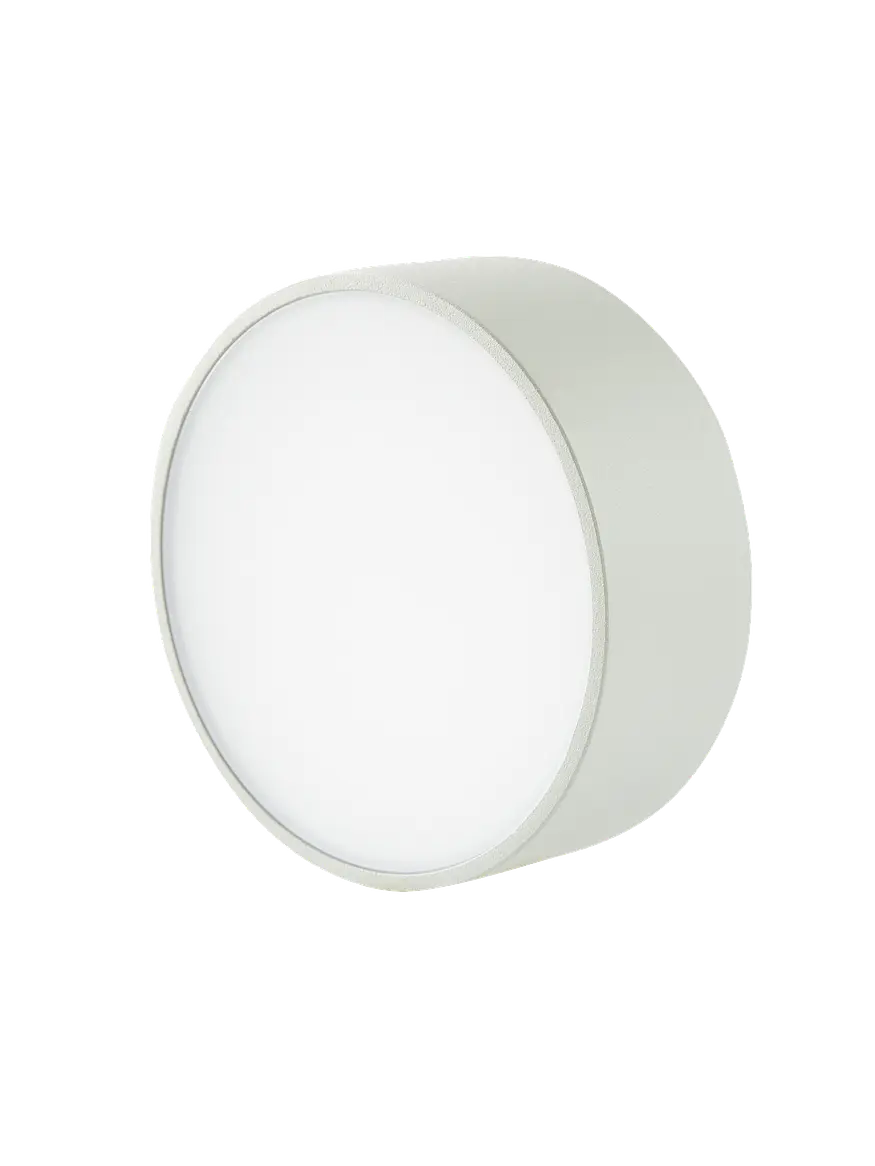 Plafón LED Exterior Redondo 6W Luz Cálida IP54 Metálico ROBLAN IZAR R 1