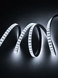 Cinta LED 220V Luz Fría IP65 Rollo 100M - Miniatura 4