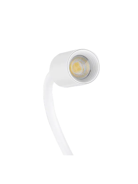 Aplique Luz de Lectura Orientable SKRYPT 3W Luz Cálida Blanco 7
