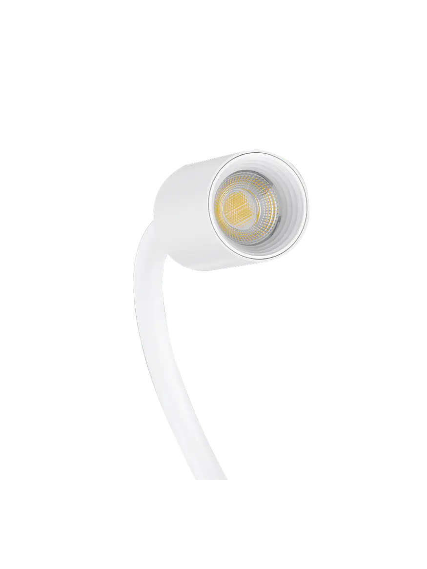 Aplique Luz de Lectura Orientable SKRYPT 3W Luz Cálida Blanco 7
