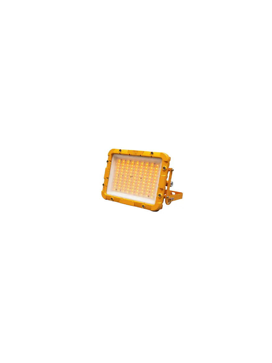Proyector LED Antiexplosivo 100W DS1 IP68 ATEX Luz 2200K 1