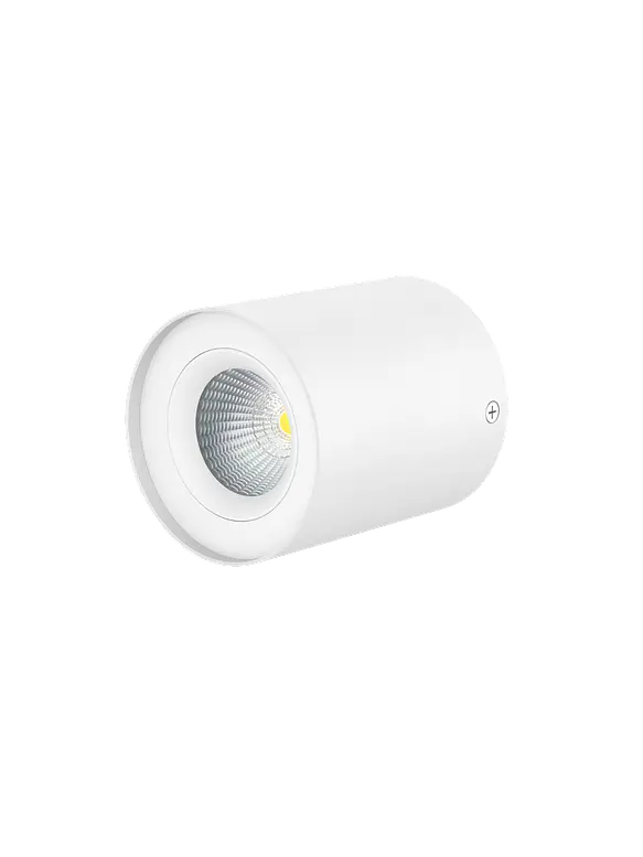 Aplique LED Orientable ROBLAN ESTRADA 6W Dimeable TRIAC Luz Cálida 3000K Blanco IP54 1