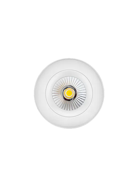 Aplique LED Orientable ROBLAN ESTRADA 6W Dimeable TRIAC Luz Cálida 3000K Blanco IP54 4