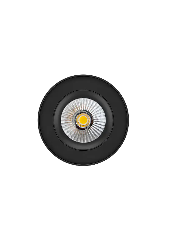 Aplique LED Orientable ROBLAN ESTRADA 6W Dimeable TRIAC Luz Cálida 3000K Negro IP54 2