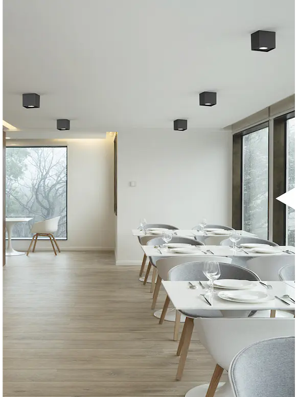 Aplique LED Cuadrado Orientable ROBLAN ESTRADA 6W Dimeable TRIAC Luz Cálida 3000K Blanco IP54 3