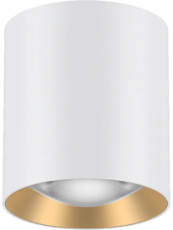 Luminaria de Techo LED ROBLAN MUXIA 8W CCT 3 Tonos Dimeable TRIAC Blanco 1