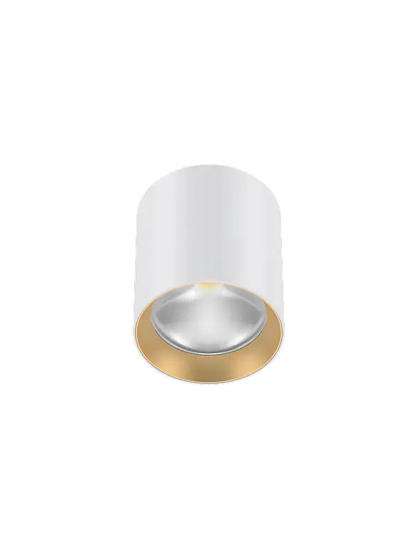 Luminaria de Techo LED ROBLAN MUXIA 8W CCT 3 Tonos Dimeable TRIAC Blanco 2