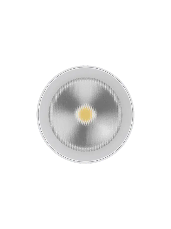 Luminaria de Techo LED ROBLAN MUXIA 8W CCT 3 Tonos Dimeable TRIAC Blanco 5