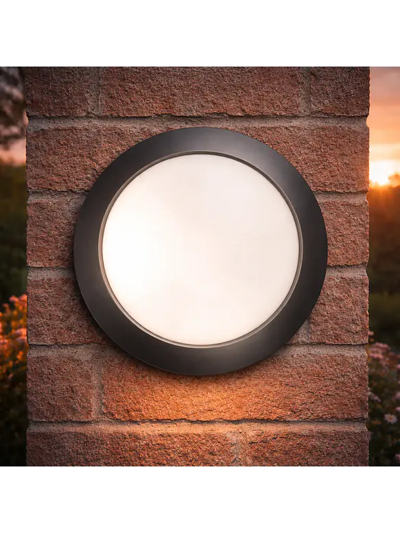Plafón LED Ovalado Exterior ROBLAN FPL OVAL 8W 700Lm Luz Neutra 4100K IP66 IK08 Negro – LIQUIDACIÓN 2