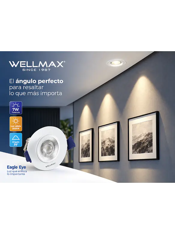 Pack 4 Downlight LED Wellmax Eagle Eye 7W 595Lm 3000K 11