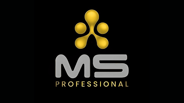 MS Professional