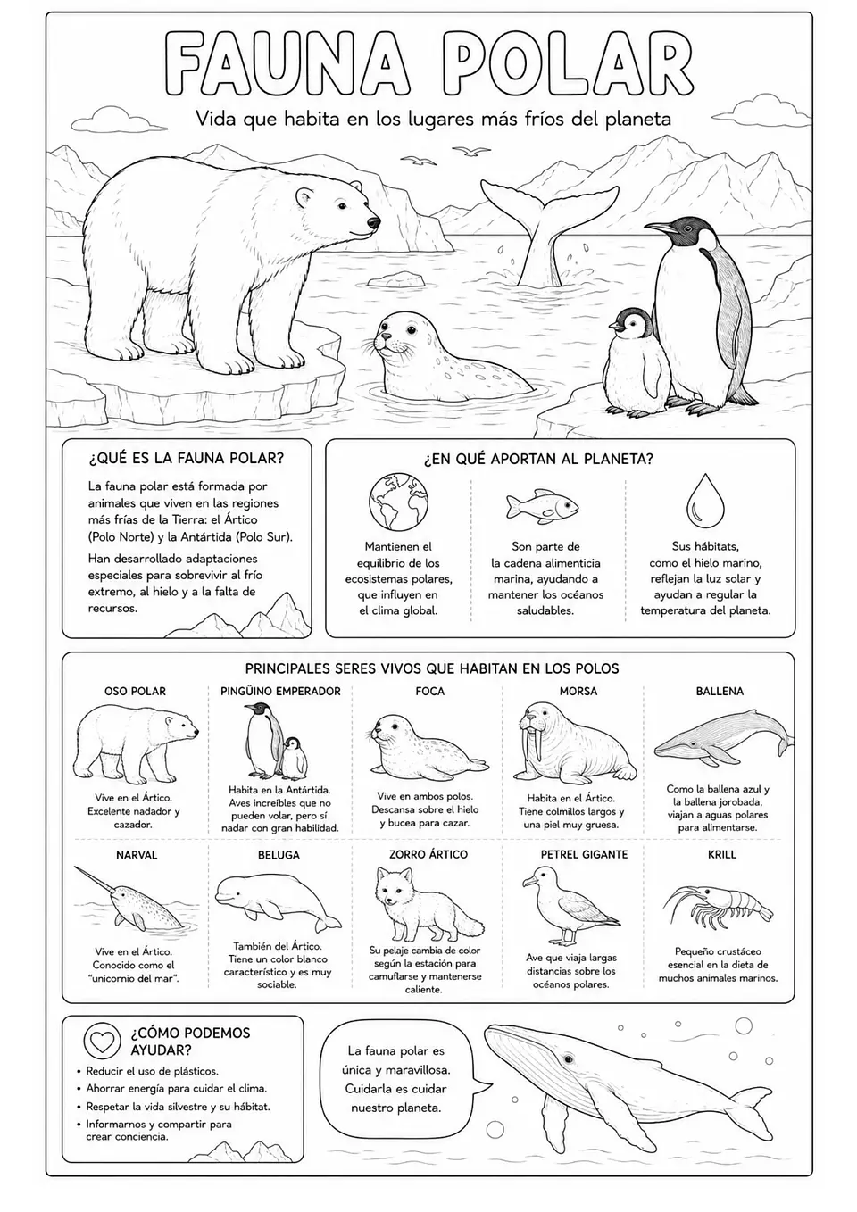 Animales del mundo Marino 5