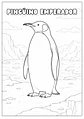 Animales del mundo Marino - Miniatura 6