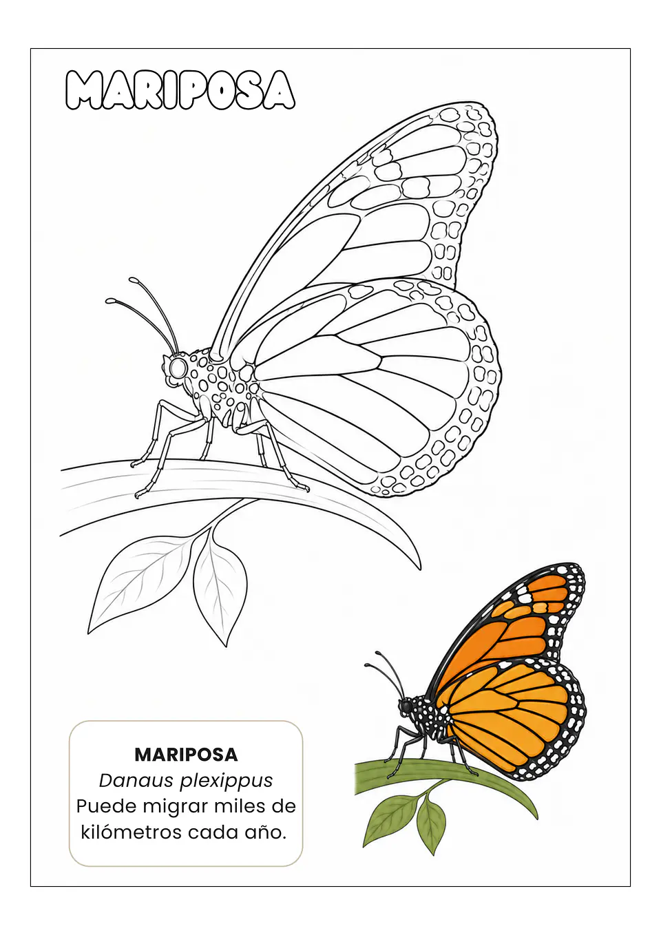 Insectos Asombrosos 3
