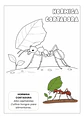 Insectos Asombrosos - Miniatura 5