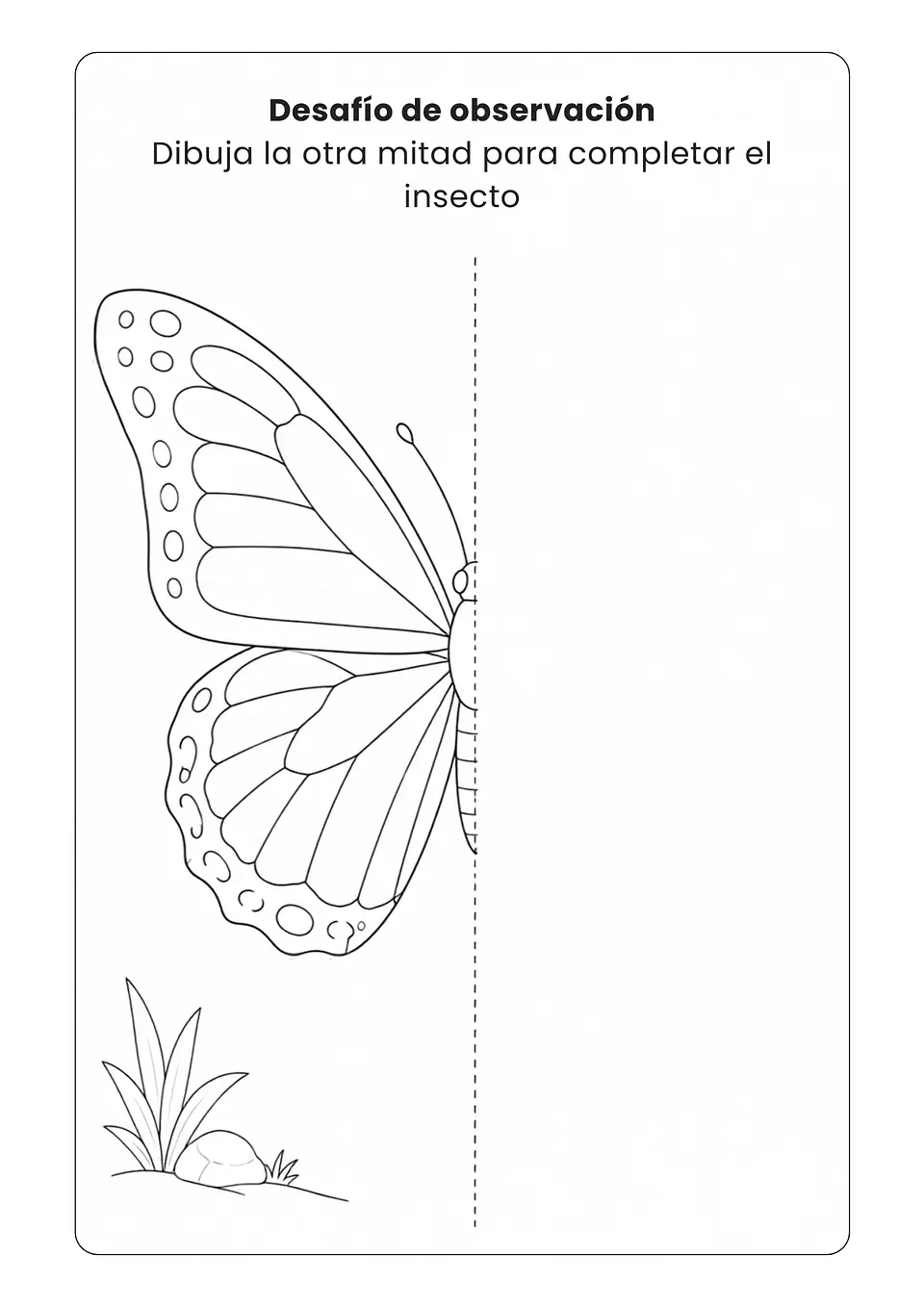 Insectos Asombrosos 7