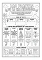 Exploradores del mundo perdido - Miniatura 11