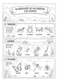 Insectos Asombrosos - Miniatura 4