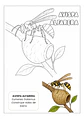 Insectos Asombrosos - Miniatura 6