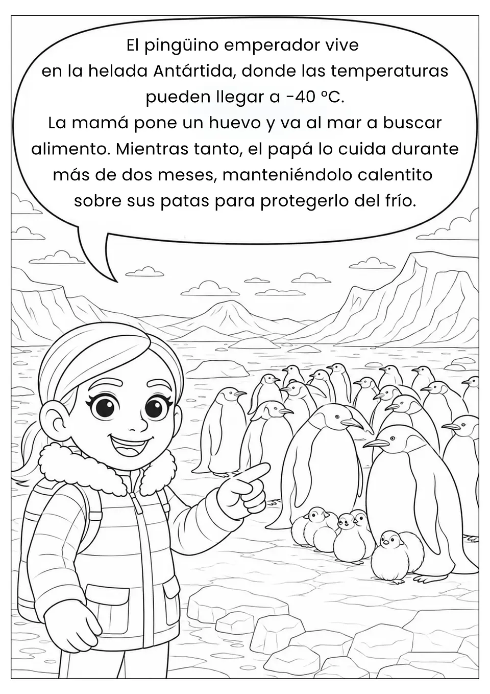 Animales del Mundo Marino  6