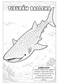Animales del Mundo Marino  - Miniatura 8