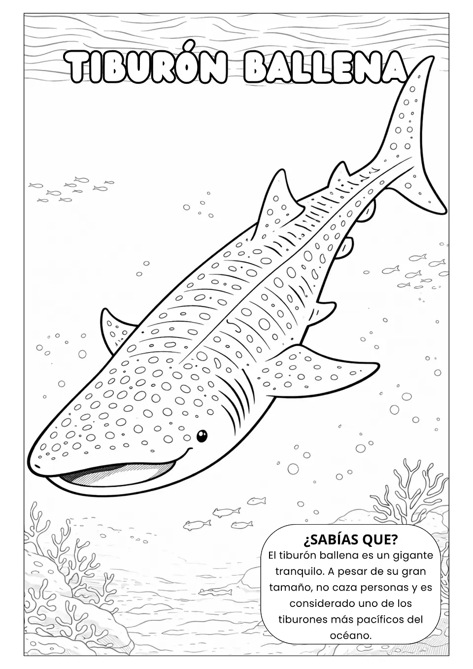 Animales del Mundo Marino  8