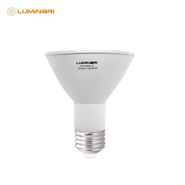 AMPOLLETA LED 12W E27 6500K 950LM IPF/20AR PHILIPS (929001955071)