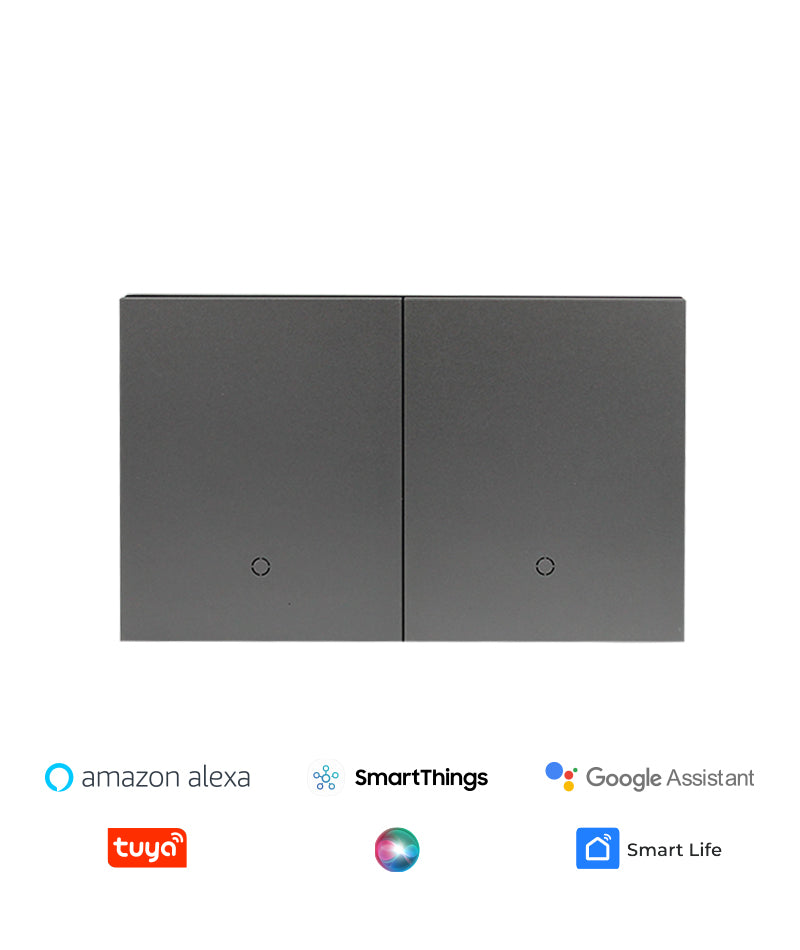 Interruptor inteligente con WiFi para el hogar, pulsador táctil de encendido y apagado estándar de 433Mhz, Control remoto por voz con Alexa, Google Home, Alice 2 botones