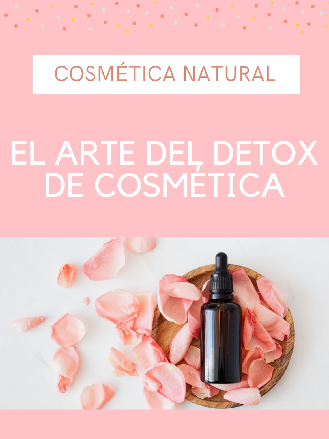 Guía digital “El arte del Détox de cosmética” 1