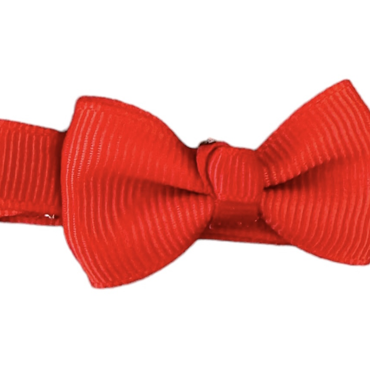 Laço Fita Mini | Vermelho 1
