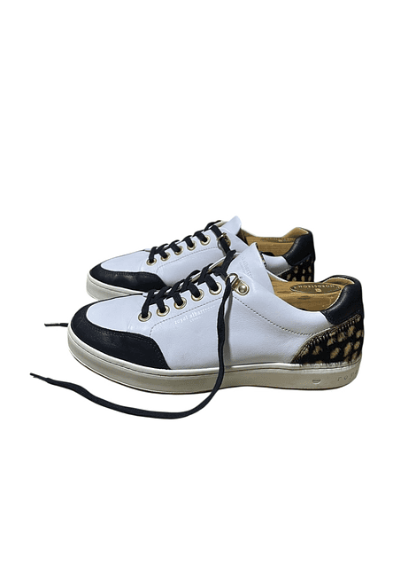 Royal Albatross London