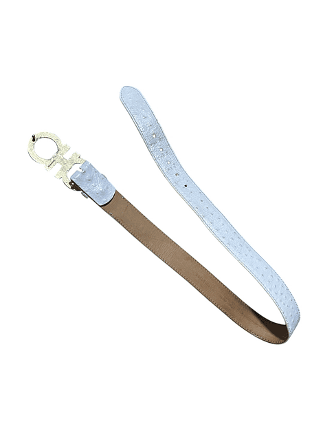 Cinturón Ferragamo (Revisar medidas)