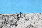 Onda - Anel Prateado - Thumbnail 2